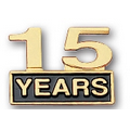 Stock Cutout Fifteen Years Pin